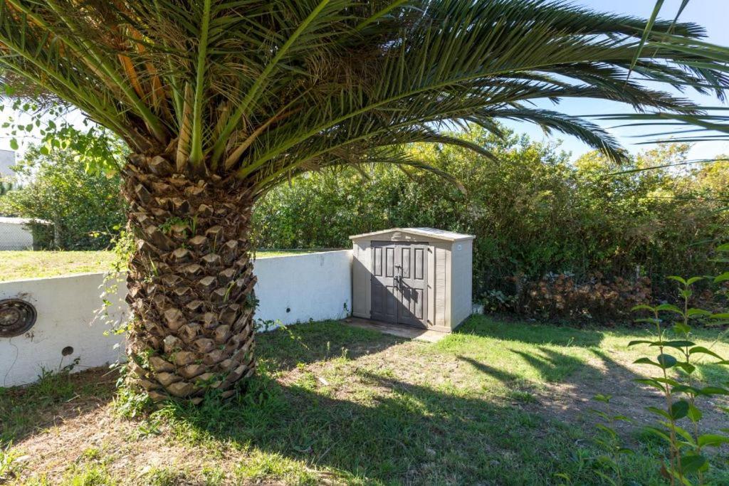 הוילה סנשנשו Chalet Paxarinas מראה חיצוני תמונה